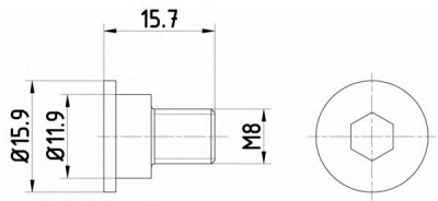 HELLA PAGID 8dz355209031 -  Болт, диск тормозного механизма